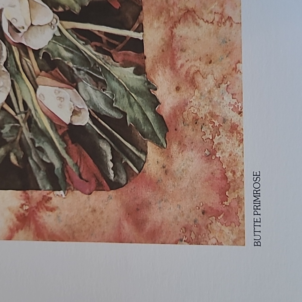 VIVIAN THIERFELDER VINTAGE FLORAL ART PRINTS, Unframed - Picture 8 of 16
